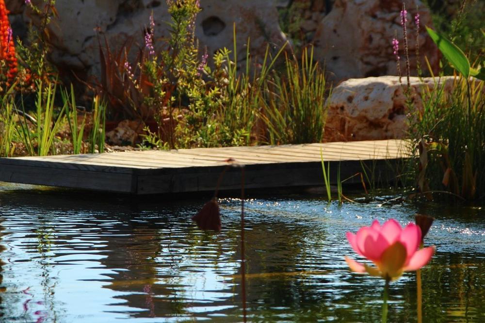 Il Fiore Della Vita Trulli Country House كونفيرسانو المظهر الخارجي الصورة